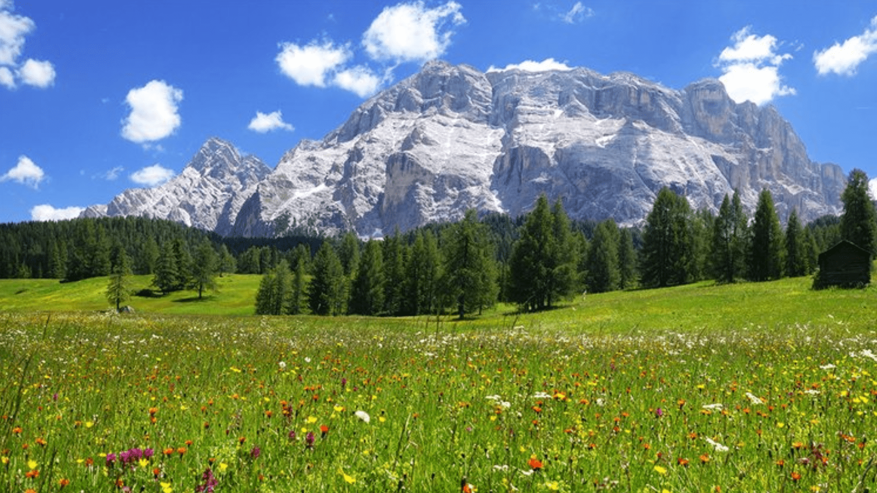 Armentara-Meadows-hike