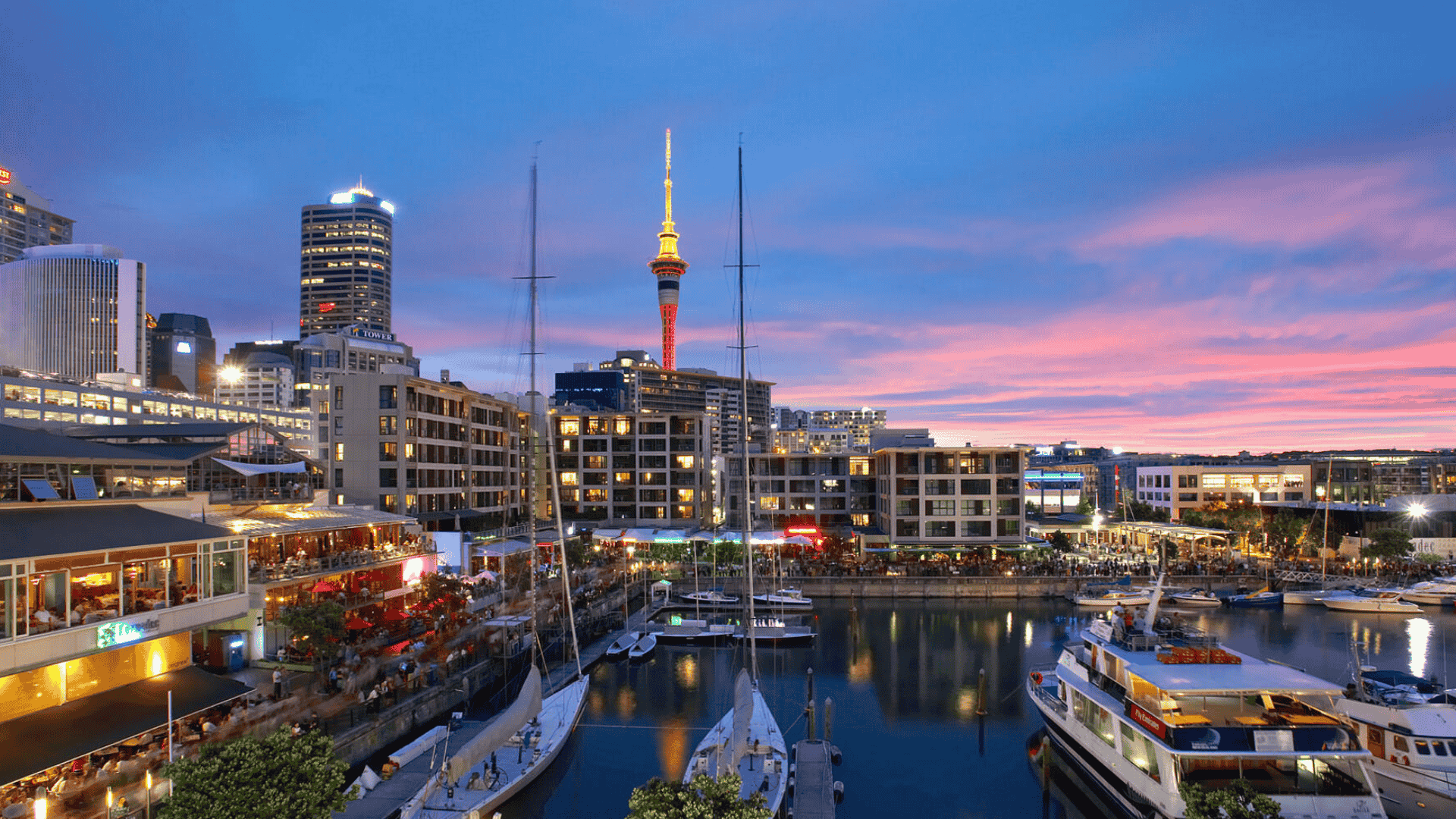 _Auckland-New-Zealand