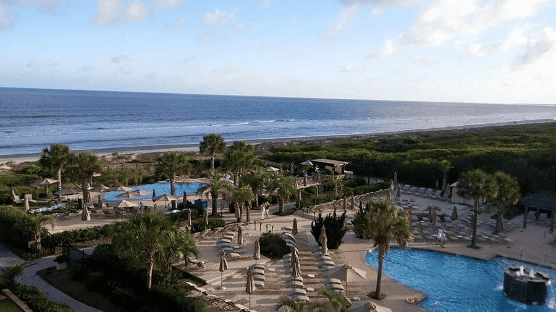 Explore Night Heron Park