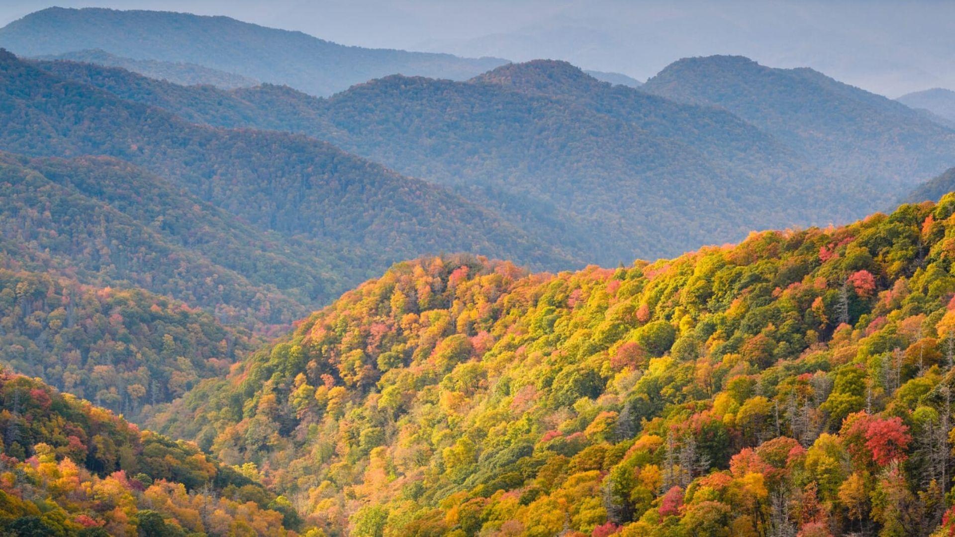 Great Smoky Mountains National Park, Tennessee/North Carolina