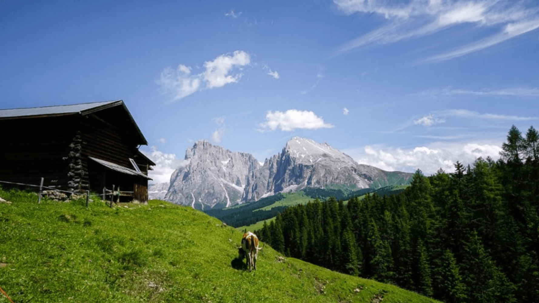 Hans-and-Paula-Steger-Trail-hike