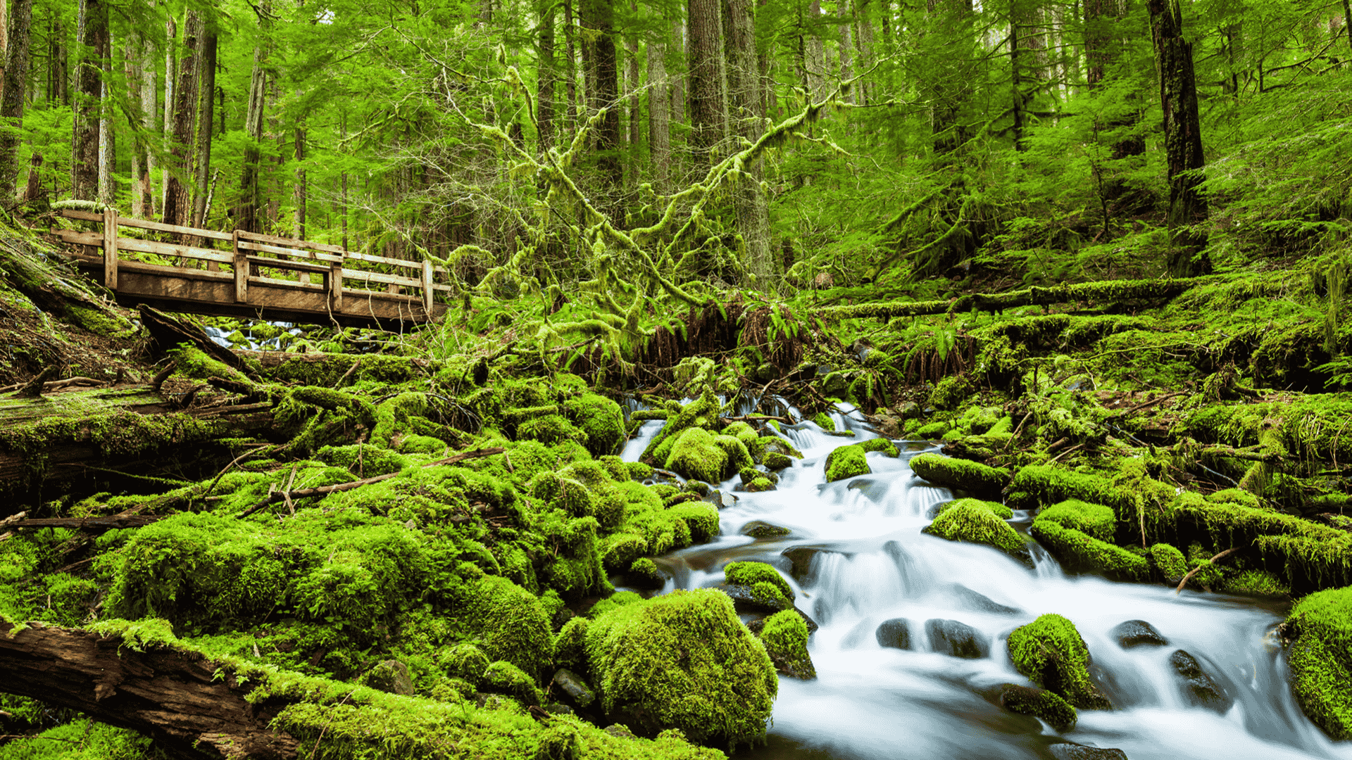 Olympic National Park (Washington)