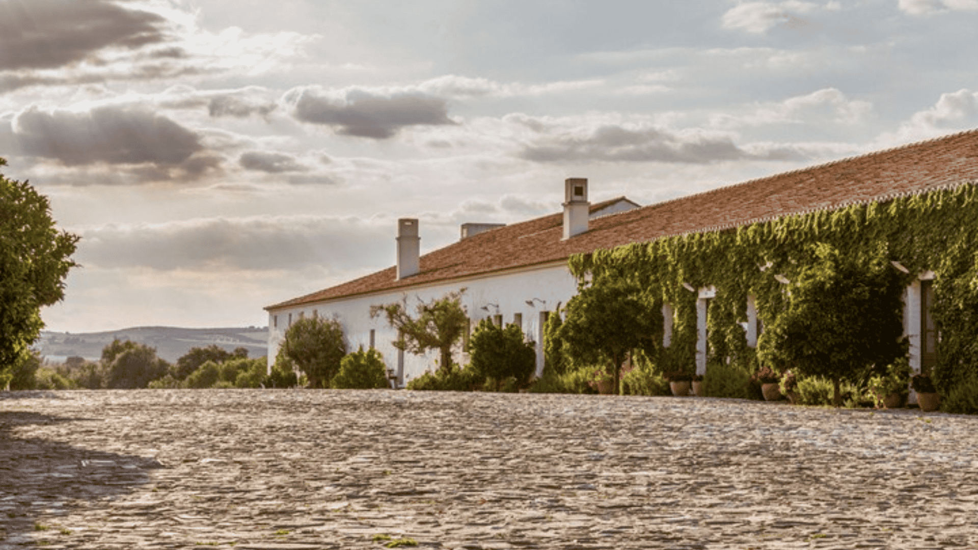 _São-Lourenço-do-Barrocal