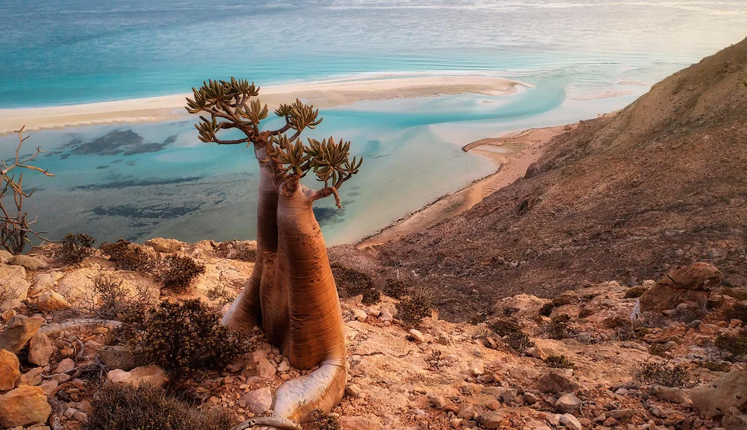 Socotra-Island.png