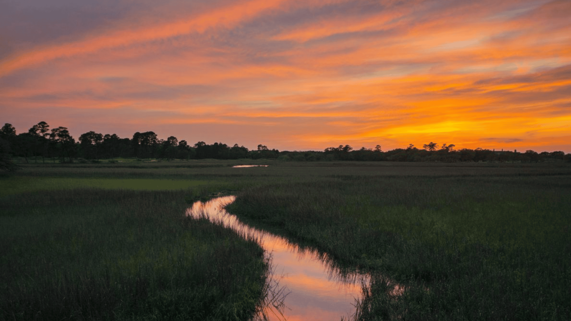 Sunset Stroll on Kiawah Beachwalker Park