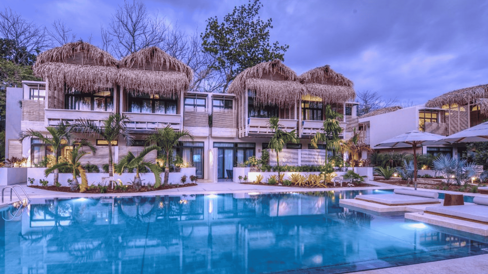 The Gilded Iguana, Nosara