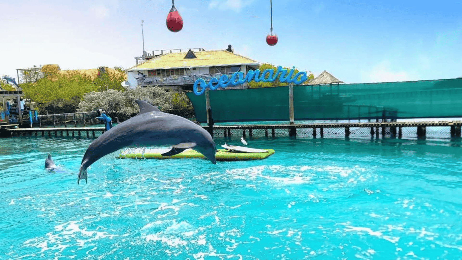 Visit-the-Oceanarium