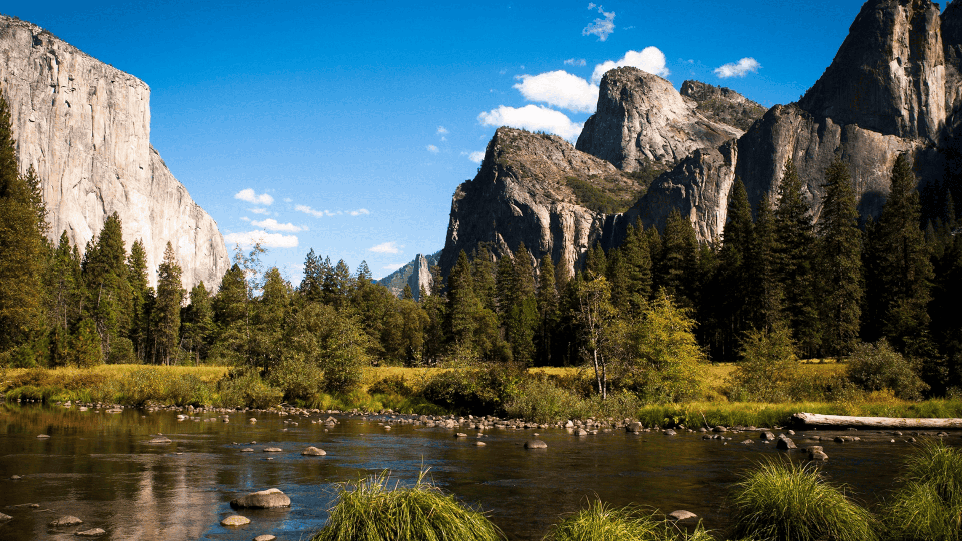 Yosemite National Park (California)