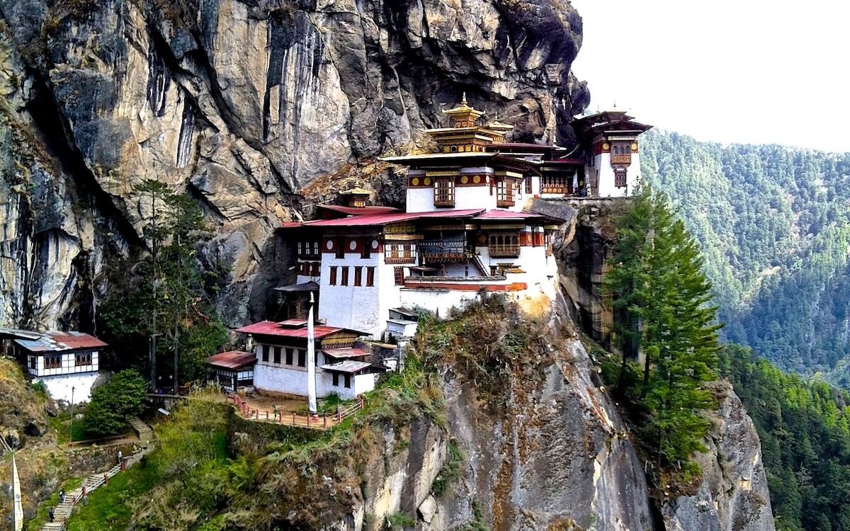 bhutan-tiger-nest.png
