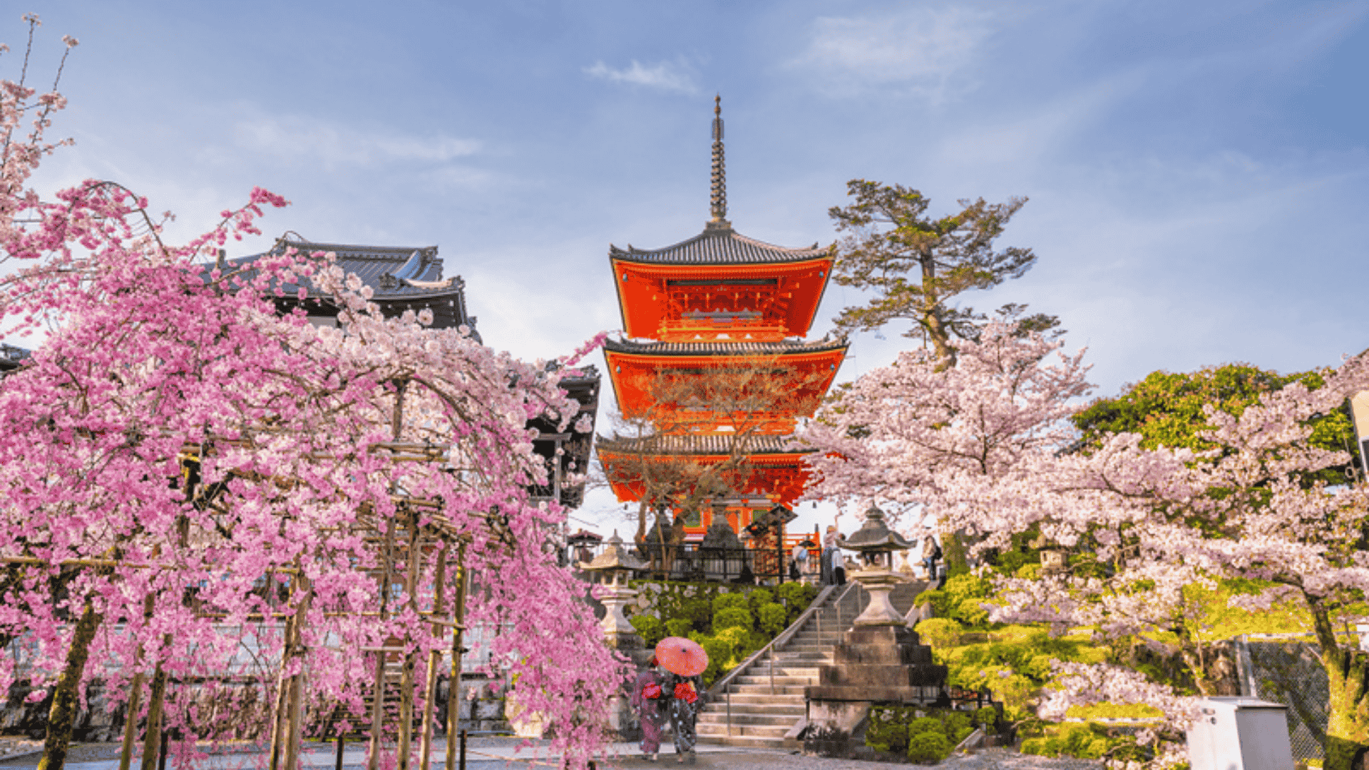 _packing-list-for-japan