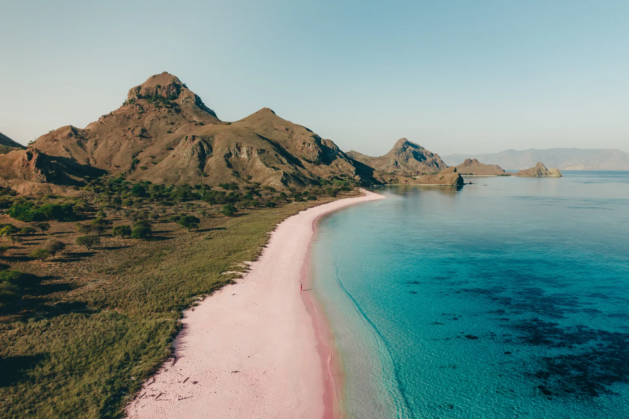 pink-beach-visit-komodo-island.png