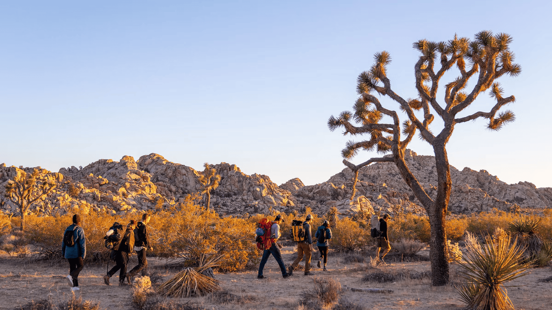 Joshua Tree National Park